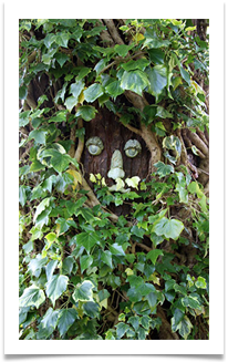 Tree Man - Ann Tidswell
